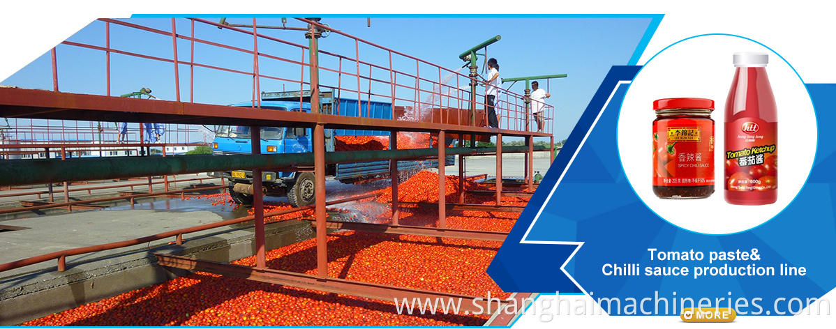 Professional dried fruits machines fruits drying and packing machine